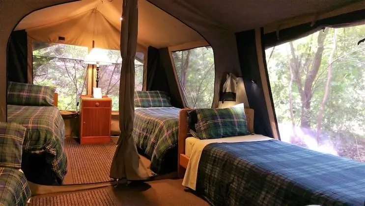 Luxury Çadır (4 Single Beds)