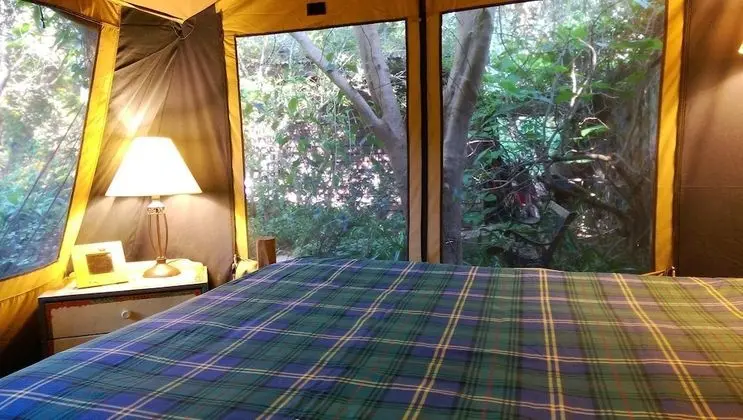 Luxury Çadır, Bahçeli