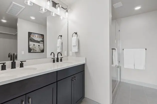 1 Bedroom King Suite with Mountain View