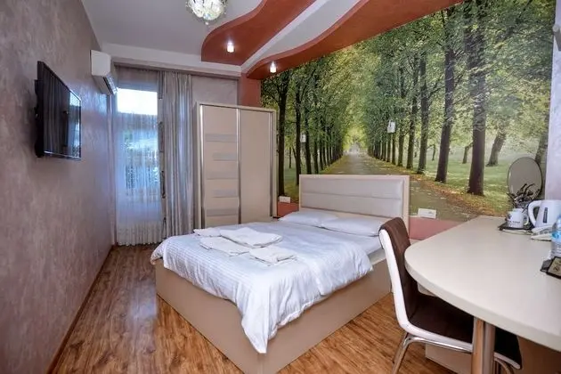 Deluxe Tek Büyük Yataklı Oda