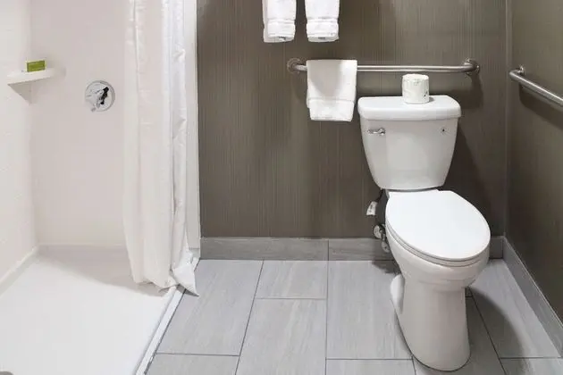 Oda, 1 En Büyük (King) Boy Yatak, Engellilere Uygun, Sigara İçilmez (Roll-In Shower)