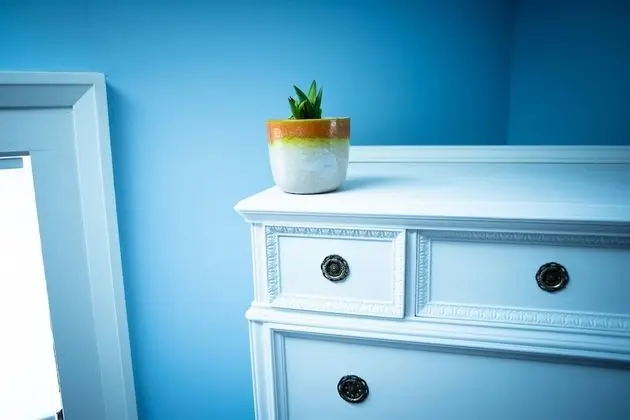 Deluxe Tek Büyük Yataklı Oda, Banyolu/Duşlu (Blue Moon Suite)