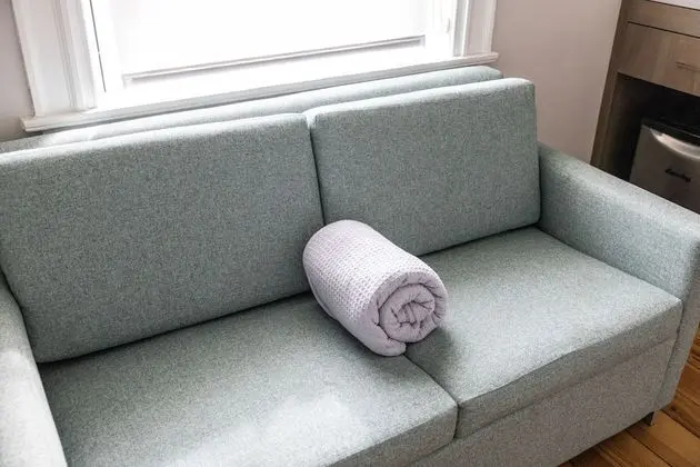 Deluxe Süit, 1 Büyük (Queen) Boy Yatak ve Çekyat