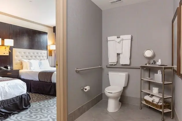 Deluxe Oda, Birden Çok Yatak, Sigara İçilmez