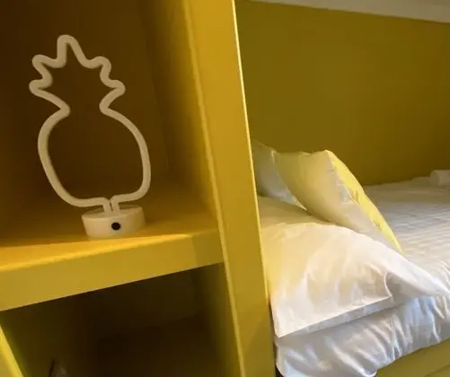 Ev, Banyolu/Duşlu