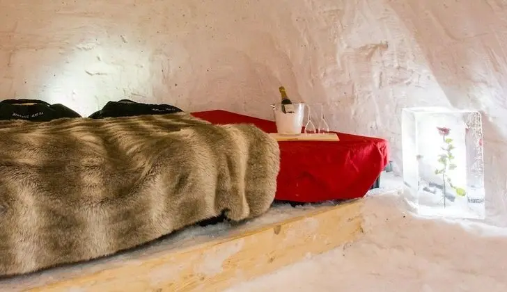 Romantic Tek Büyük Yataklı Oda (Duo Igloo)