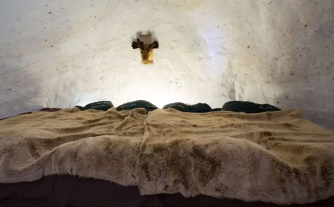 Standard Ortak Ranzalı Oda, 1 Yatak Odası