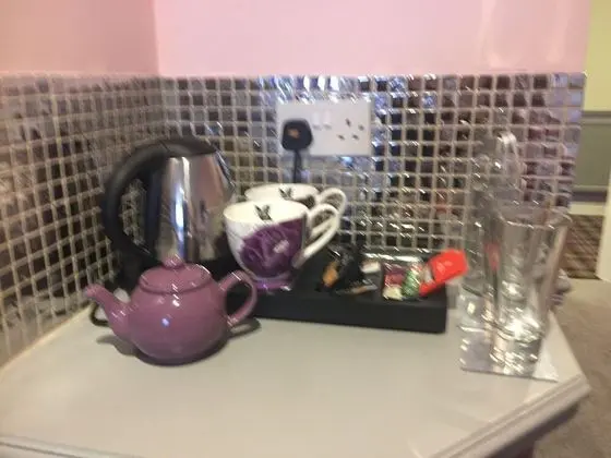 Deluxe İki Ayrı Yataklı Oda, Banyolu/Duşlu (Indigo Bloom)