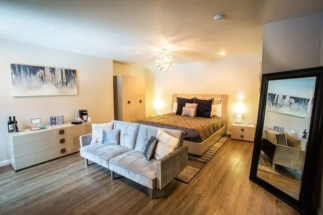 Premium Tek Büyük Yataklı Oda, Avlu Manzaralı (Room 9 )