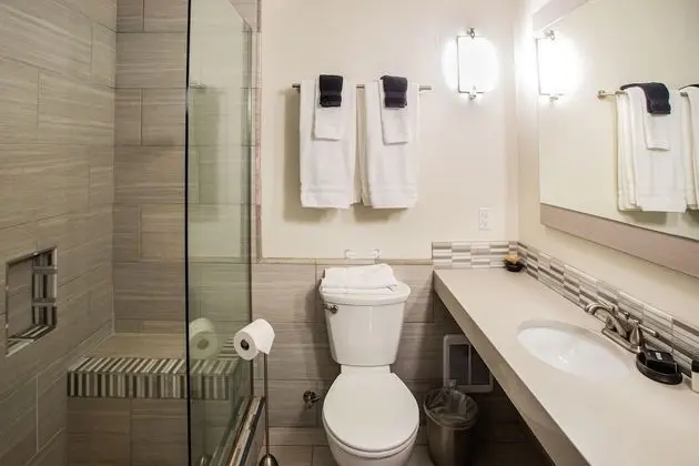 Premium Tek Büyük Yataklı Oda, Avlu Manzaralı (Room 9 )