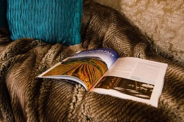 Tek Büyük Yataklı Oda, Banyolu/Duşlu (Blue Room (super king))