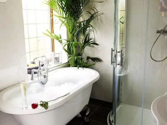 Tek Büyük Yataklı Oda, Banyolu/Duşlu (Colonial Room(super king))