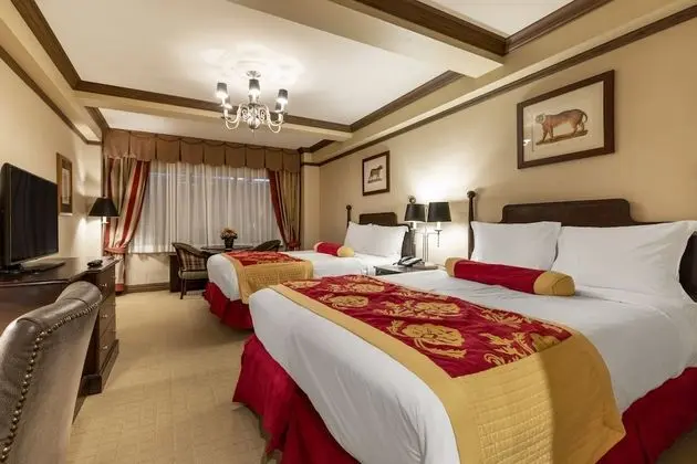 Luxury Tek Büyük Yataklı Oda
