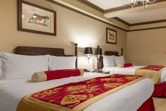 Luxury Tek Büyük Yataklı Oda