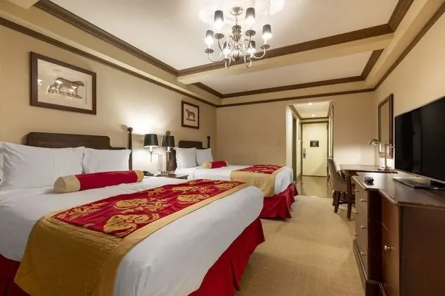 Luxury Tek Büyük Yataklı Oda