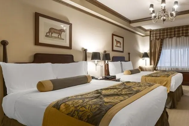 Luxury Tek Büyük Yataklı Oda