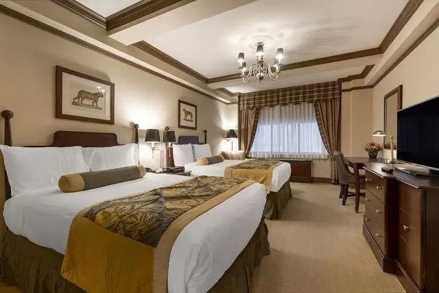 Luxury Tek Büyük Yataklı Oda