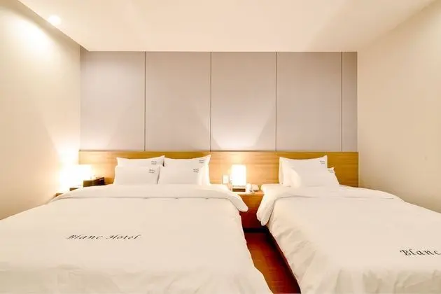 Deluxe İki Ayrı Yataklı Oda