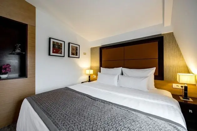 Superior Tek Büyük Yataklı Oda