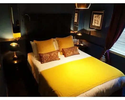 Tek Büyük Yataklı Oda, Banyolu/Duşlu (Sakura - Cosy)