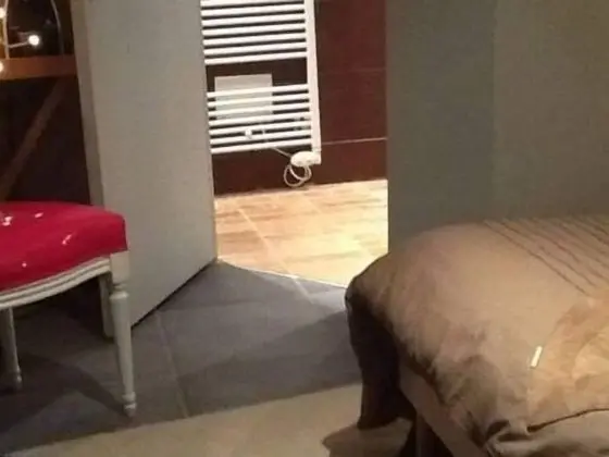 Tek Büyük Yataklı Oda, Banyolu/Duşlu