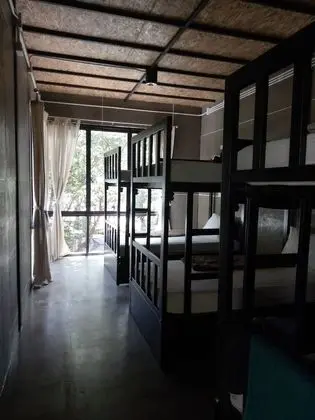 Deluxe Ortak Ranzalı Oda, Bahçe Manzaralı