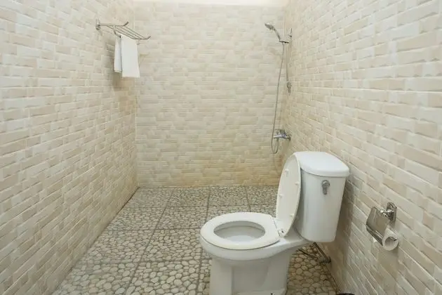 Süit