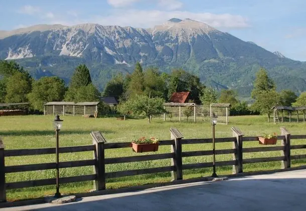 Family Apart Daire, 1 Çift Kişilik Yatak, Bahçeli (Bled Lake Apartment Red)