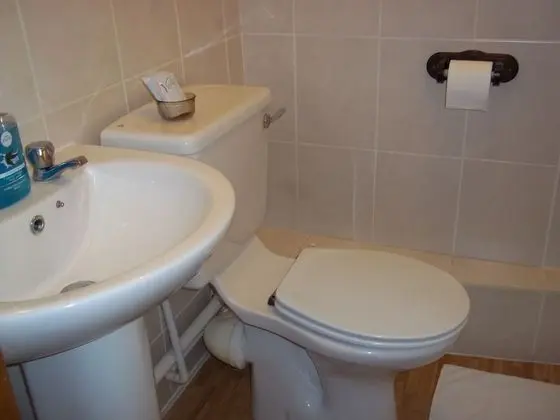 Traditional İki Ayrı Yataklı Oda, Banyolu/Duşlu