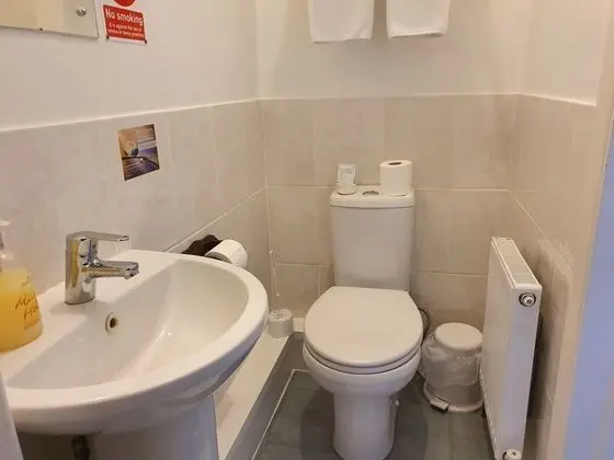 Traditional Üç Kişilik Oda, Banyolu/Duşlu