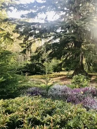 Deluxe Tek Büyük Yataklı Oda, Banyolu/Duşlu