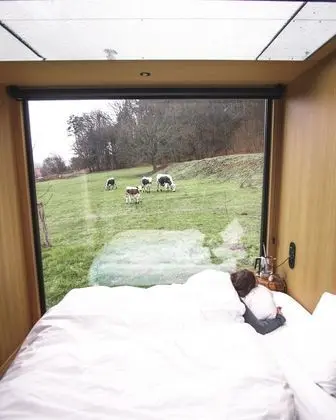 Tek Büyük Yataklı Oda (Lynx / Lievre)