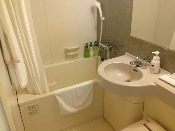 Deluxe Tek Büyük Yataklı Oda, Sigara İçilmez