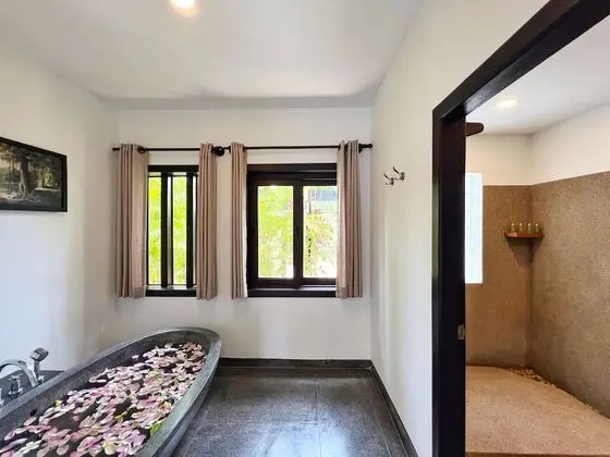 Deluxe İki Ayrı Yataklı Oda, Balkon, Havuz Manzaralı