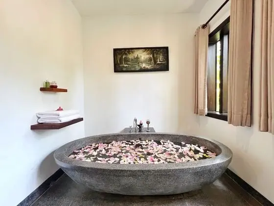 Deluxe İki Ayrı Yataklı Oda, Balkon, Havuz Manzaralı