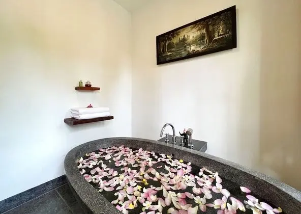 Deluxe İki Ayrı Yataklı Oda, Balkon, Havuz Manzaralı