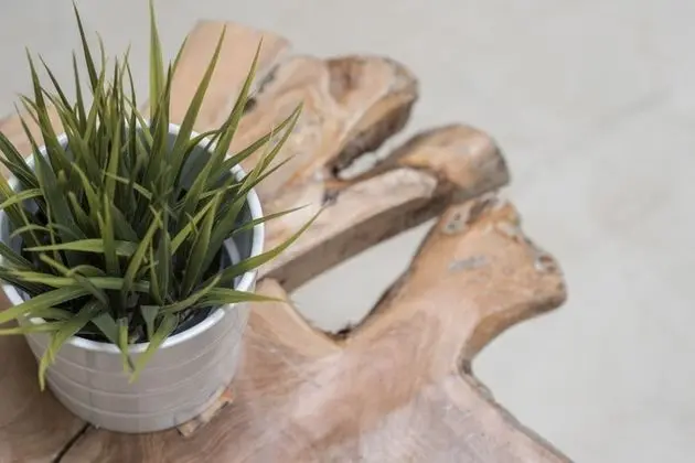 Delight 1 Bedroom Apartment