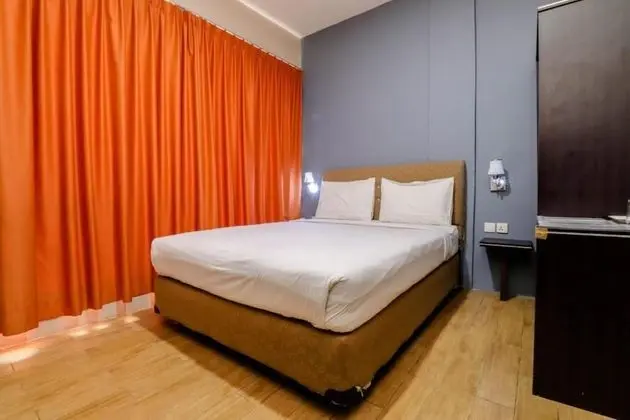 Deluxe Oda, 1 Yatak Odası, Şehir Manzaralı