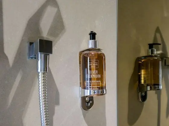 Superior Tek Büyük Yataklı Oda, 1 En Büyük (King) Boy Yatak