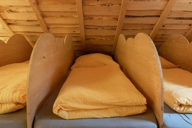 Ev, 1 Büyük (Queen) Boy Yatak