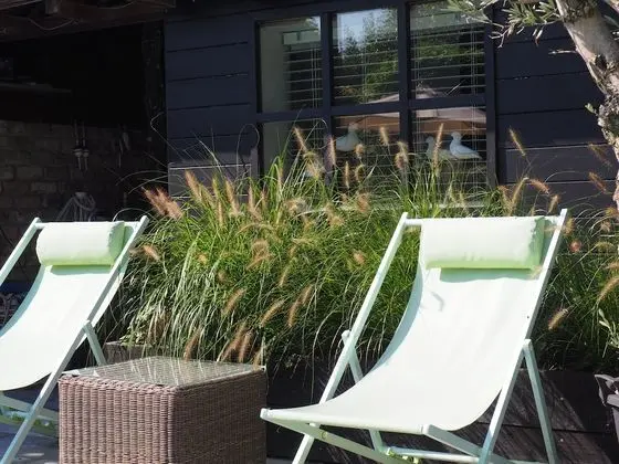 Standard Dört Kişilik Oda