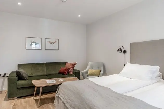 Superior Tek Büyük Yataklı Oda, Birden Çok Yatak