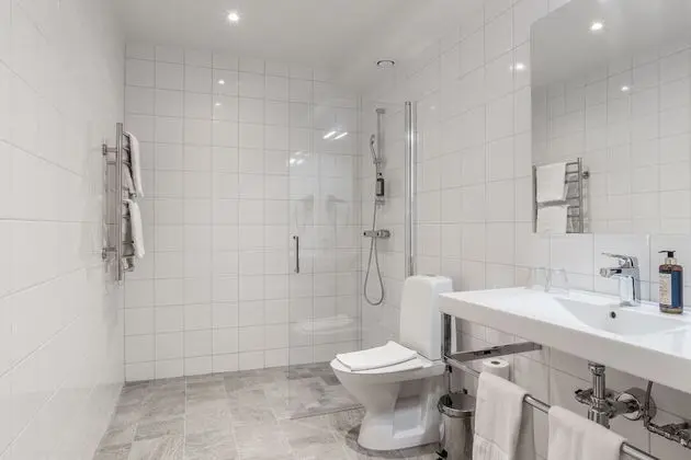 Superior Tek Büyük Yataklı Oda, Birden Çok Yatak