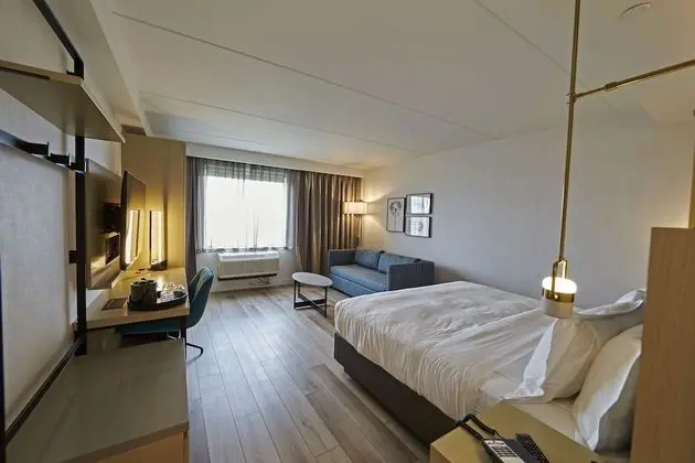 Deluxe Oda, 1 En Büyük (King) Boy Yatak ve Çekyat, Şehir Manzaralı