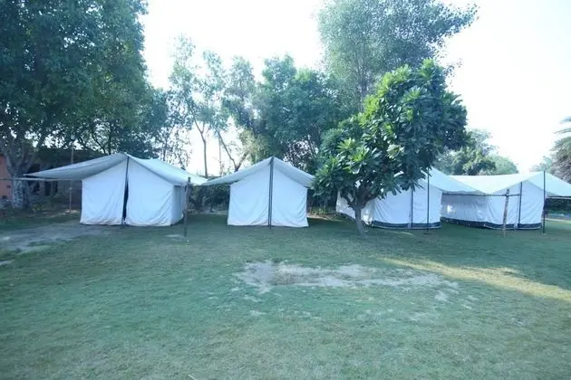 Deluxe Çadır