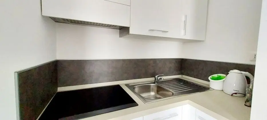 Apart Daire, 1 Yatak Odası, Sigara İçilebilir