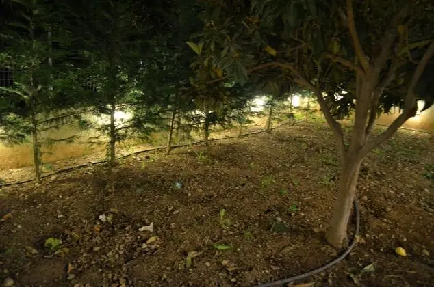 Romantic Stüdyo, Bahçe Manzaralı