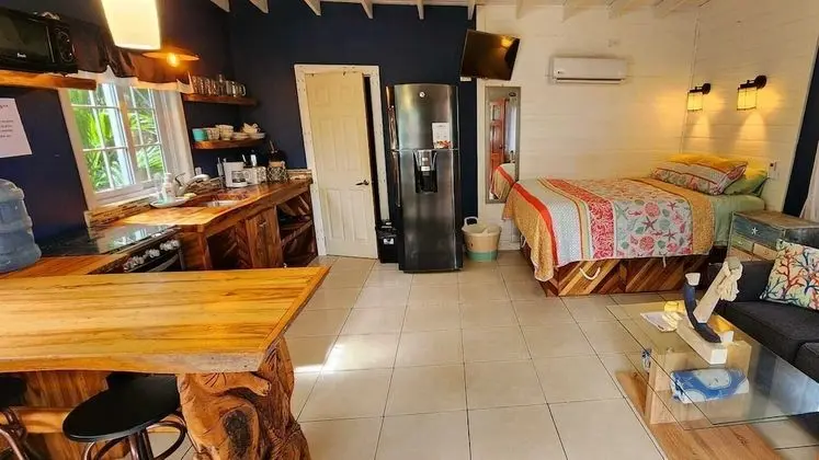 Premium Stüdyo, 1 Büyük (Queen) Boy Yatak ve Çekyat, Mutfak, Havuz Manzaralı