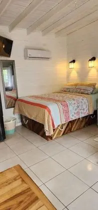 Premium Stüdyo, 1 Büyük (Queen) Boy Yatak ve Çekyat, Mutfak, Havuz Manzaralı