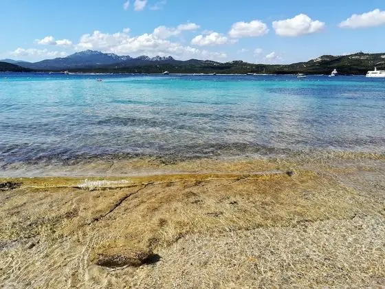 Apart Daire, 2 Yatak Odası, Balkon